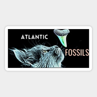 Cat and Atlantic Fossils Shark Tooth Sticker